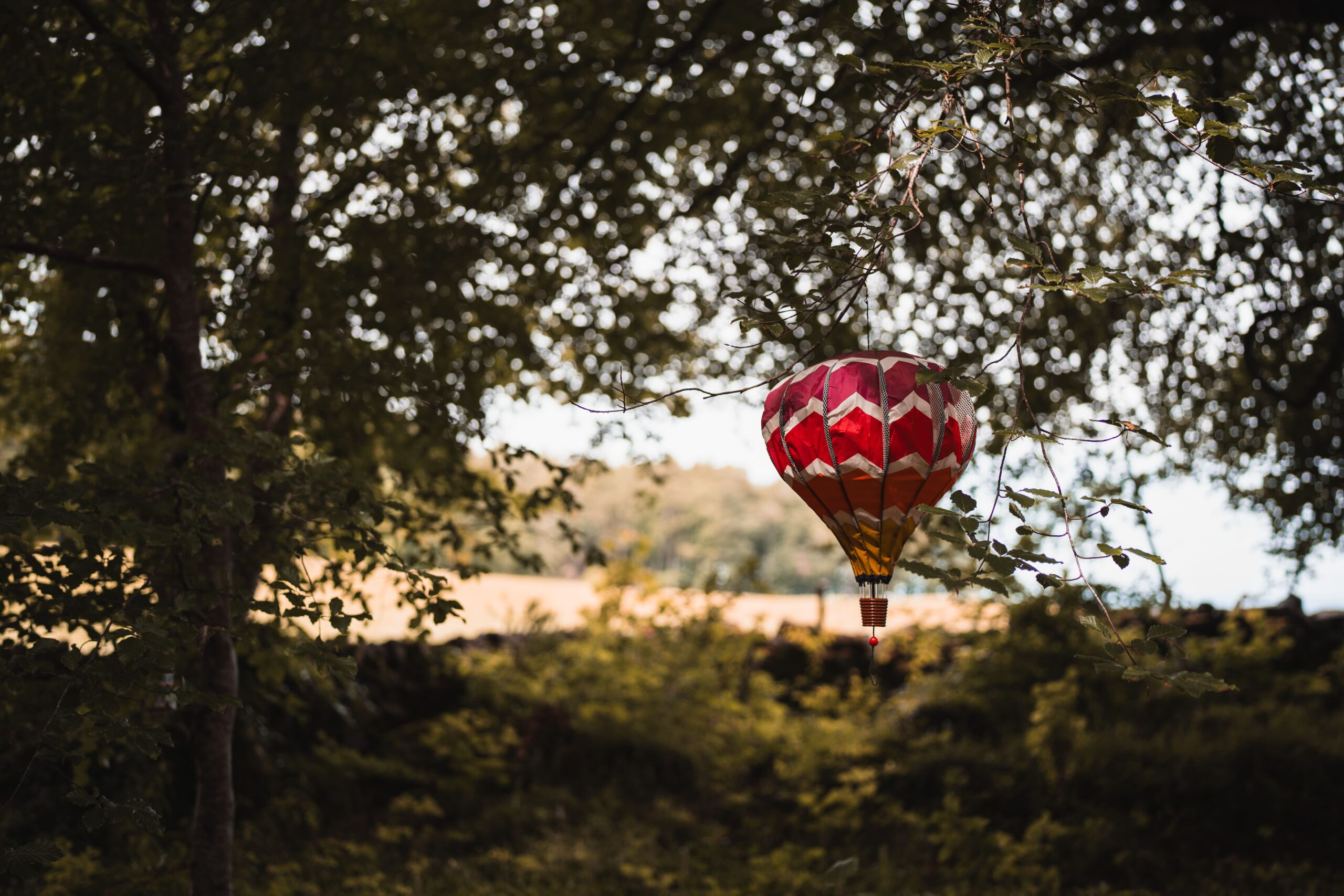 what does a celebrant do